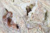 Crystal Filled Dugway Geode (Polished Half) - Utah #176749-1